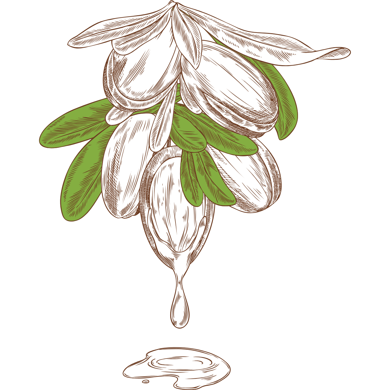 Mauricia Shea Butter (7)