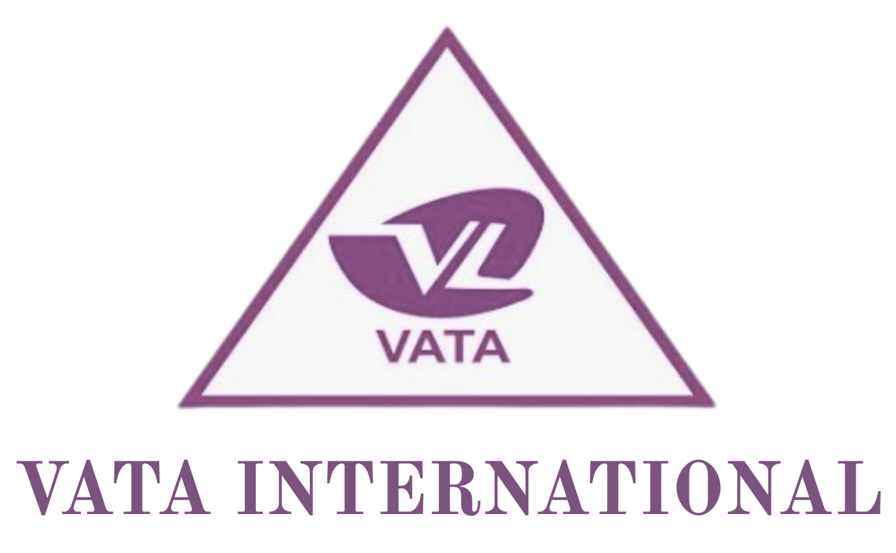Custom Logo