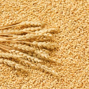 Grains