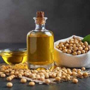 Oil Seeds