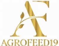 Custom Logo