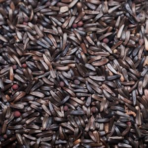 Agro Seeds
