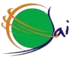 Custom Logo