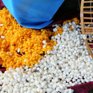 Textile & Sericulture Products