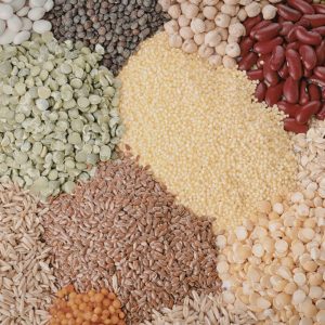 Pulses & Lentils