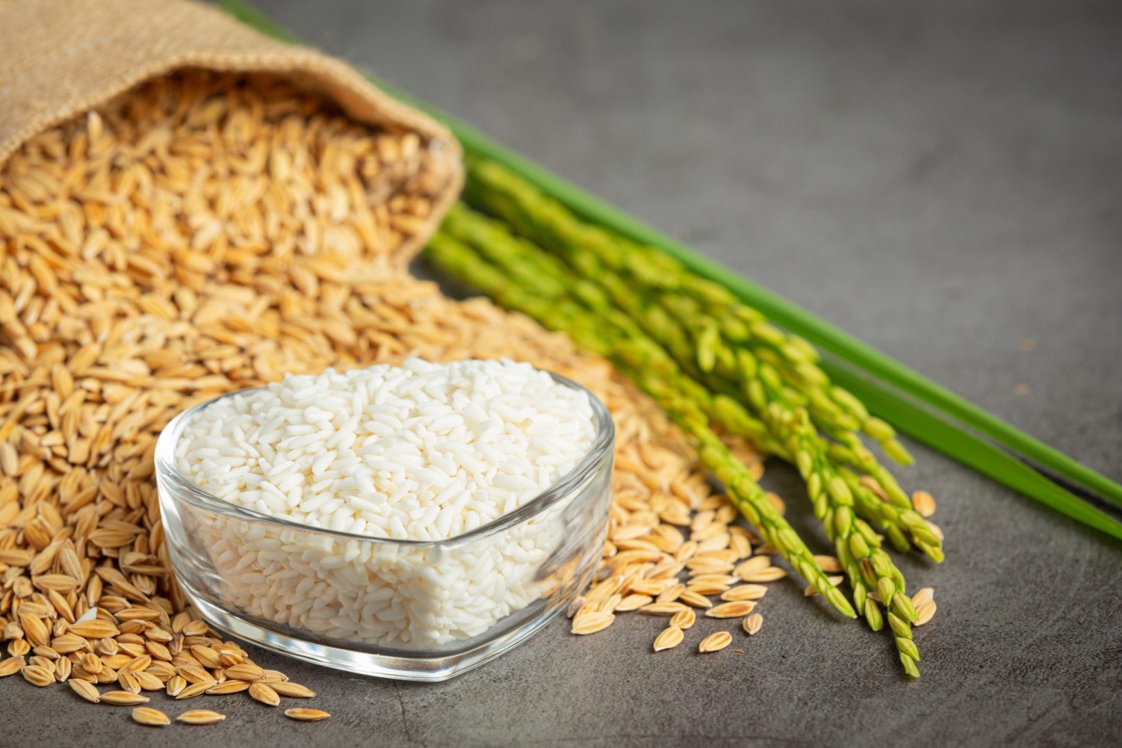 sack-rice-seed-with-white-rice-small-glass-bowl-rice-plant_1150-34304