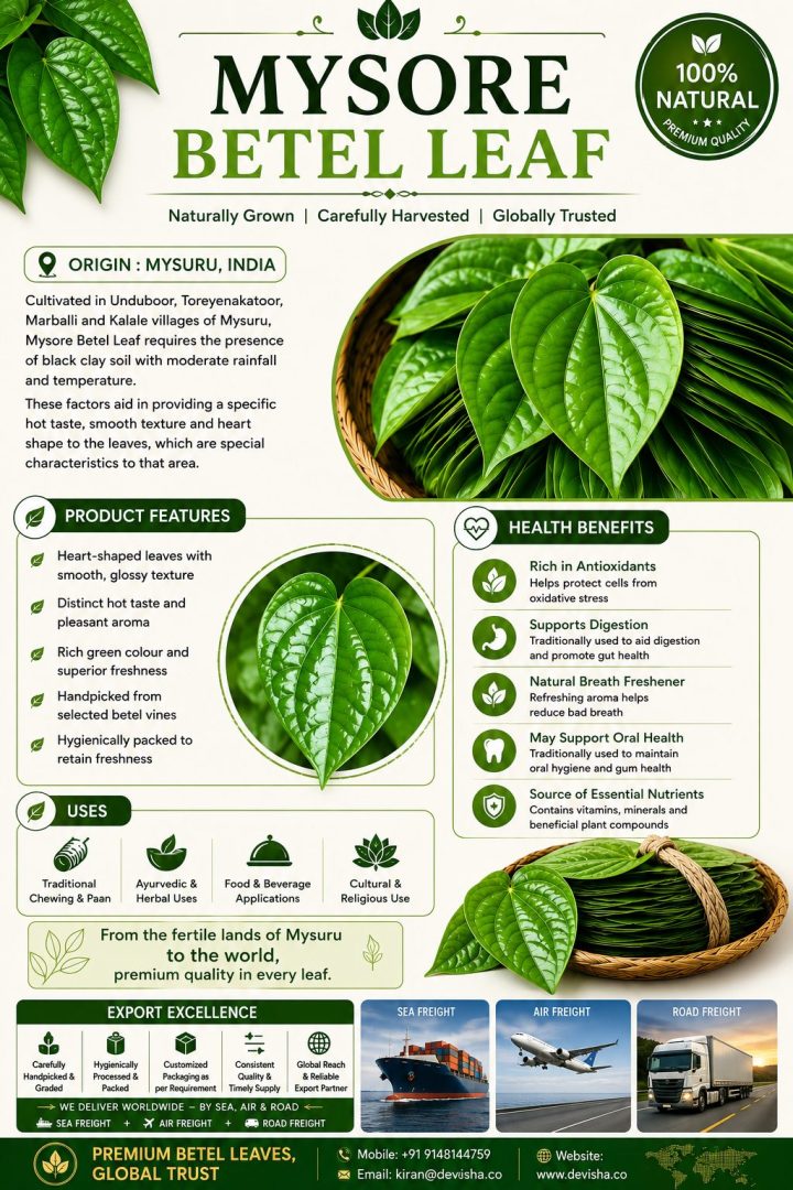 Mysore Betel leaf