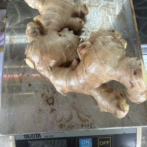 Fresh Ginger from Thailand for Export