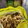 Fresh Ginger from Thailand for Export
