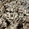 Fresh Ginger from Thailand for Export