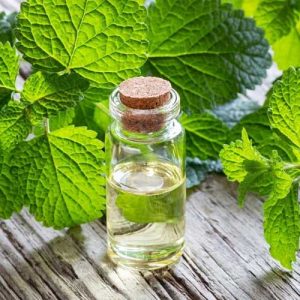 Natural Mint Products