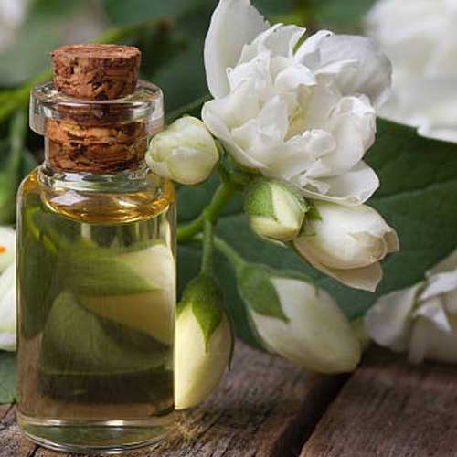 jasmine-oil