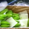 Cavendish Banana